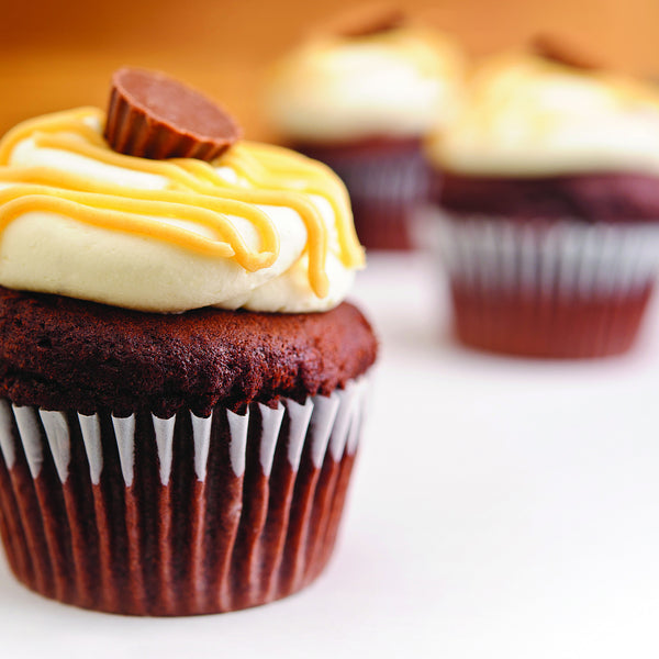 Peanut Butter & Chocolate Cupcake 